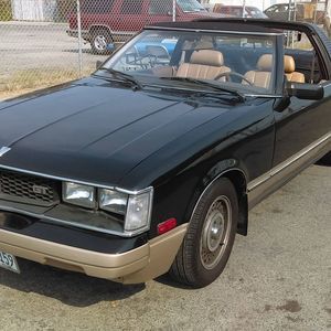 Meet your Posher, Dwight